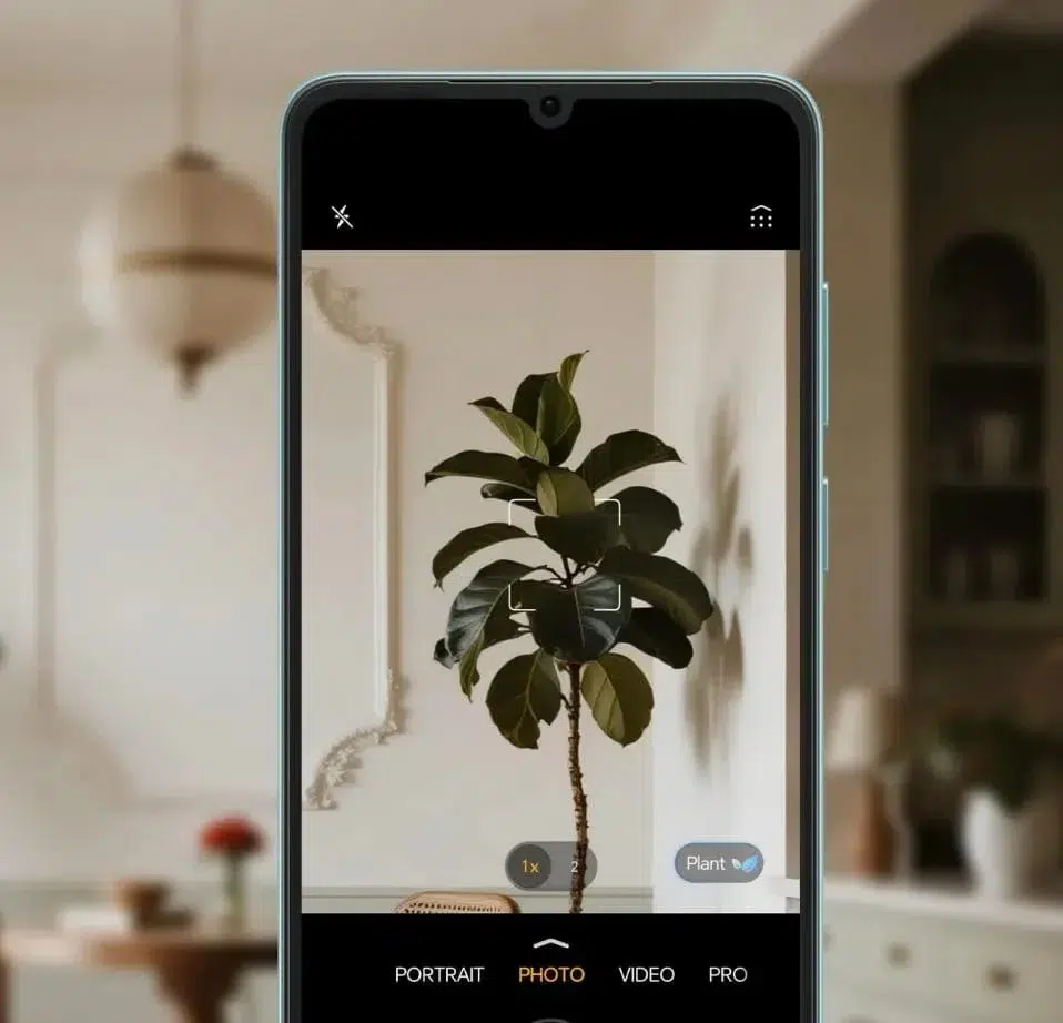 Smartphone camera focused on a tall potted rubber plant indoors, with portrait, photo, video, and pro camera modes visible on screen.