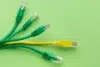 Green and yellow Ethernet cables with transparent RJ45 connectors arranged on a bright green background.