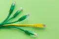 Green and yellow Ethernet cables with transparent RJ45 connectors arranged on a bright green background.