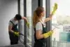 Two cleaners in gloves and dark overalls clean large windows, with one wiping glass using a squeegee and the other vacuuming frames.